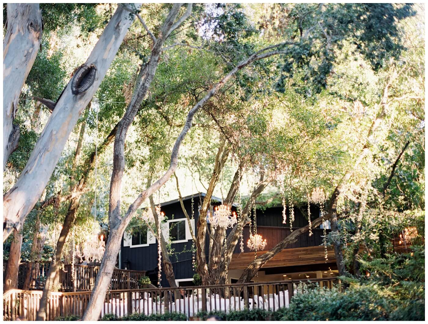 Calamigos Ranch Wedding 0037 -