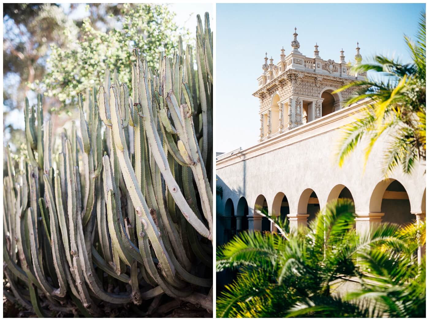 balboa park engagement