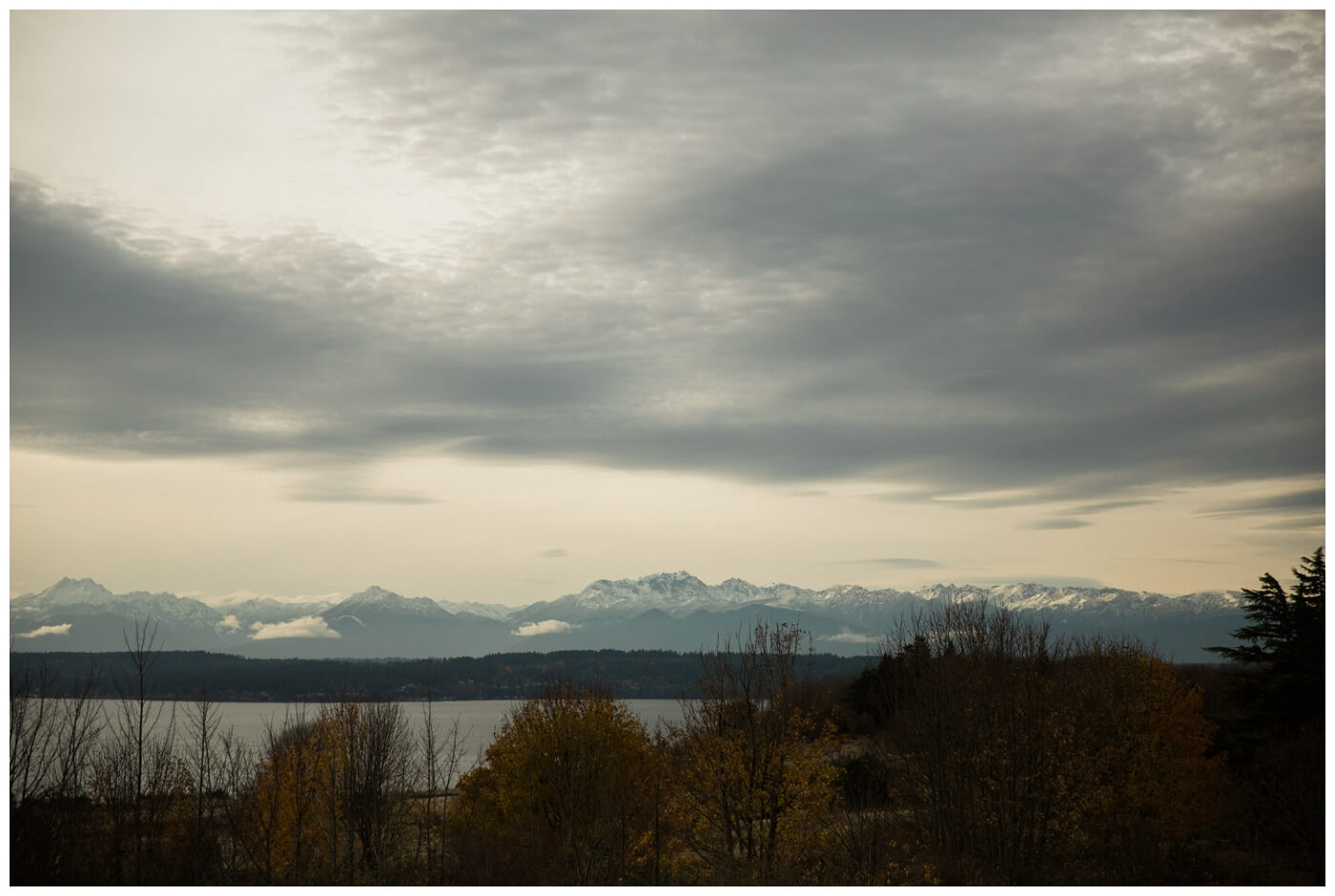 Discovery Park Engagement Photographer Seattle 0014 -