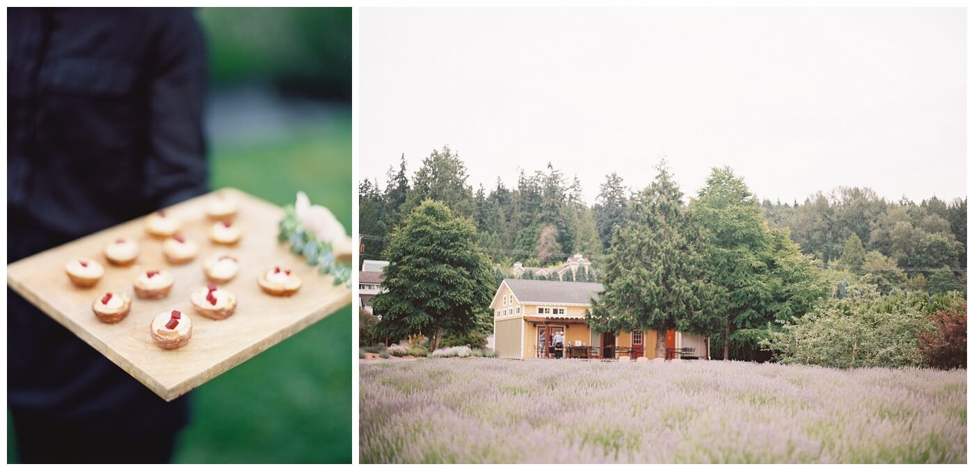 Woodinville Lavender Farm Wedding 0040 1 -