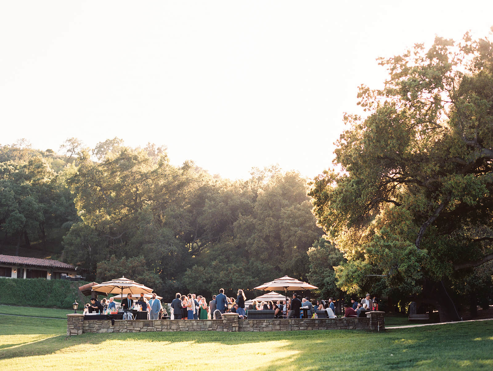 cocktail hour at circle oak ranch bathed in golden sunlight and surrounded by beautiful and old oak trees