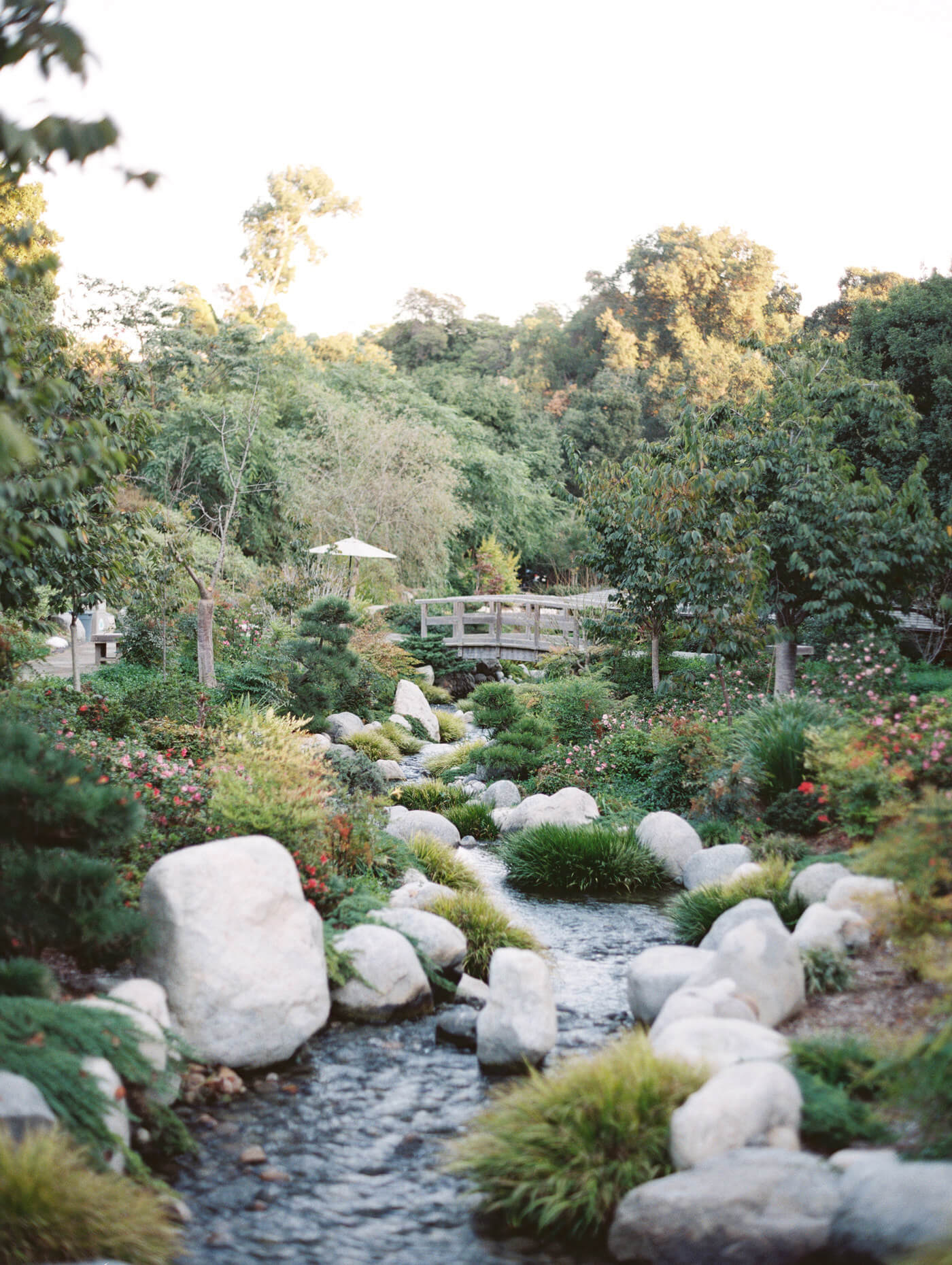 scenic photo of japanese frienship garden waterfall in balboa park in san diego ca photographed by local san diego wedding photographer who also photographs elopements and engagements
